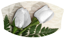 DNSWILL 060 2 Roses White